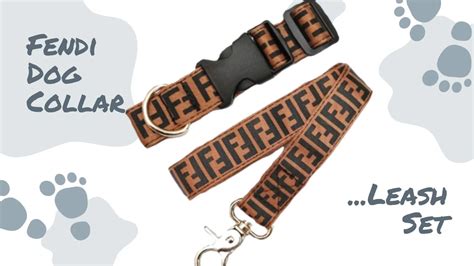 fendi for dog|Fendi dog leash set.